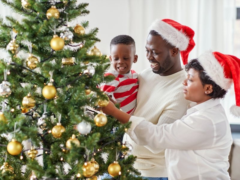 Keeping the Family Peace During the Holidays: Practical Tips for Avoiding Conflict and Surprise. Wills, Trust & Estate Planning also brings Family Holiday Happiness